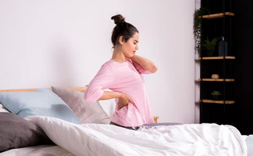 mattress-shop-somerset Mattress Shop Somerset